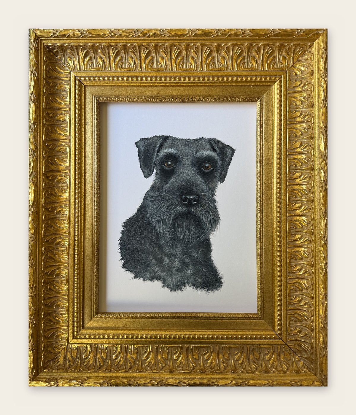 Ornate gold frame holding a drawn portrait of a grey schnauzer on white paper.